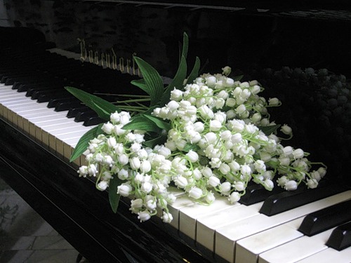 цветы на рояле
